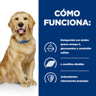 Hill's Prescription Diet Joint Care j/d Reduced Calorie Pollo pienso para perros, , large image number null